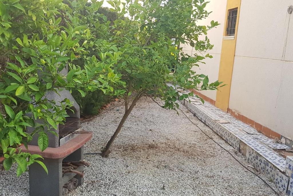 Punta Prima Bungalow Jardin Privado Torrevieja Eksteriør bilde