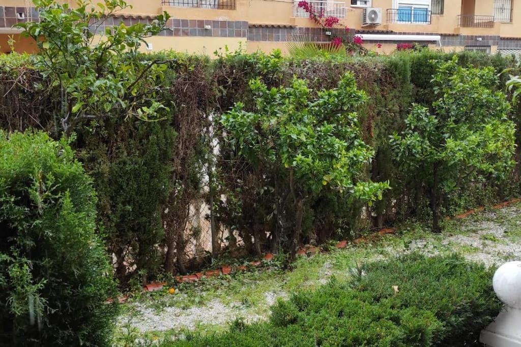 Punta Prima Bungalow Jardin Privado Torrevieja Eksteriør bilde