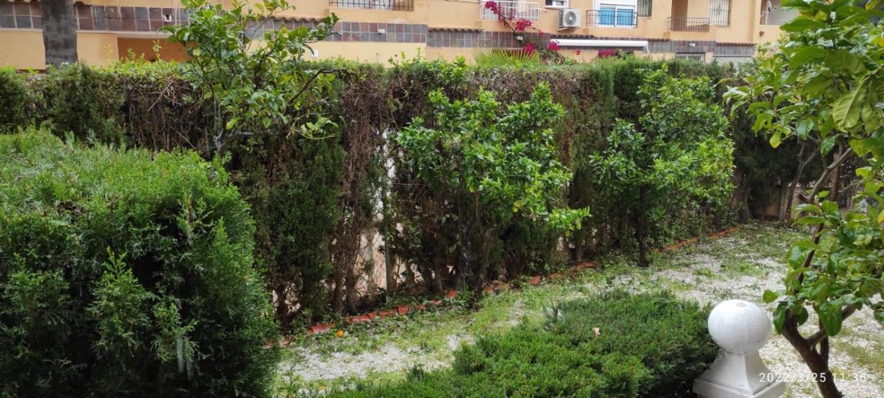 Punta Prima Bungalow Jardin Privado Torrevieja Eksteriør bilde